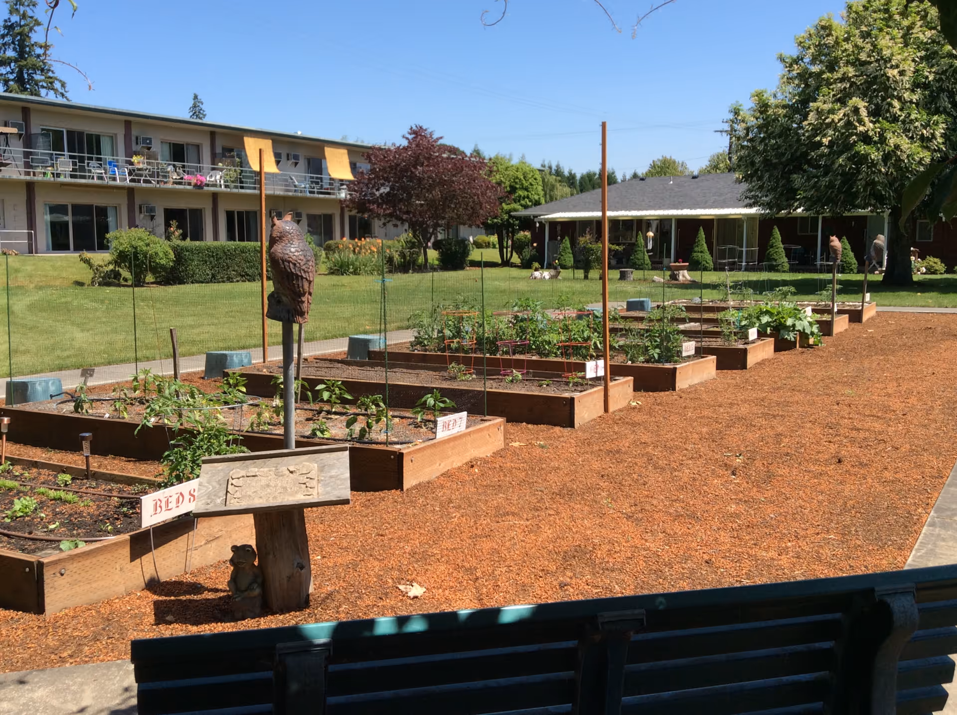 Outdoor garden area with multiple raised garden beds containing various plants. A wooden owl sculpture is mounted on a post near the garden beds. In the background, there is a two-story building with balconies and a single-story building surrounded by trees and green grass under a clear blue sky.