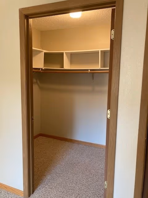 Empty walk-in closet with beige carpet, light brown wooden trim, a wooden hanging rod, and white open shelves above the rod. The closet is illuminated by a ceiling light.