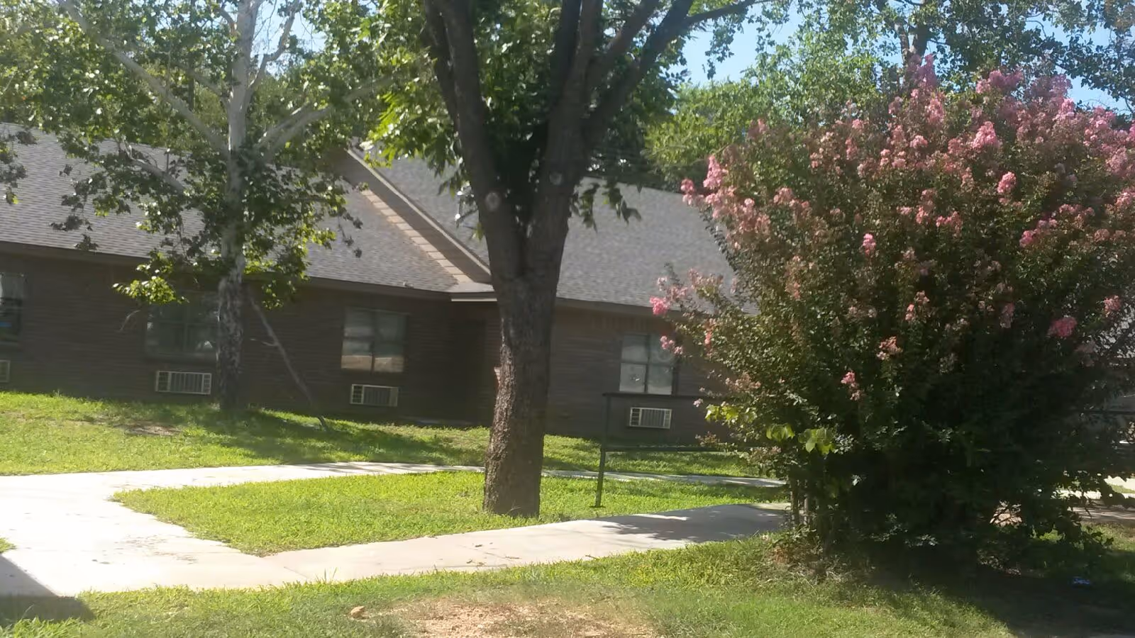 Outdoor view of a nursing and rehab facility with a brick building, several windows with air conditioning units, a large tree in the center, a flowering bush with pink blossoms on the right, and a concrete walkway surrounded by green grass.