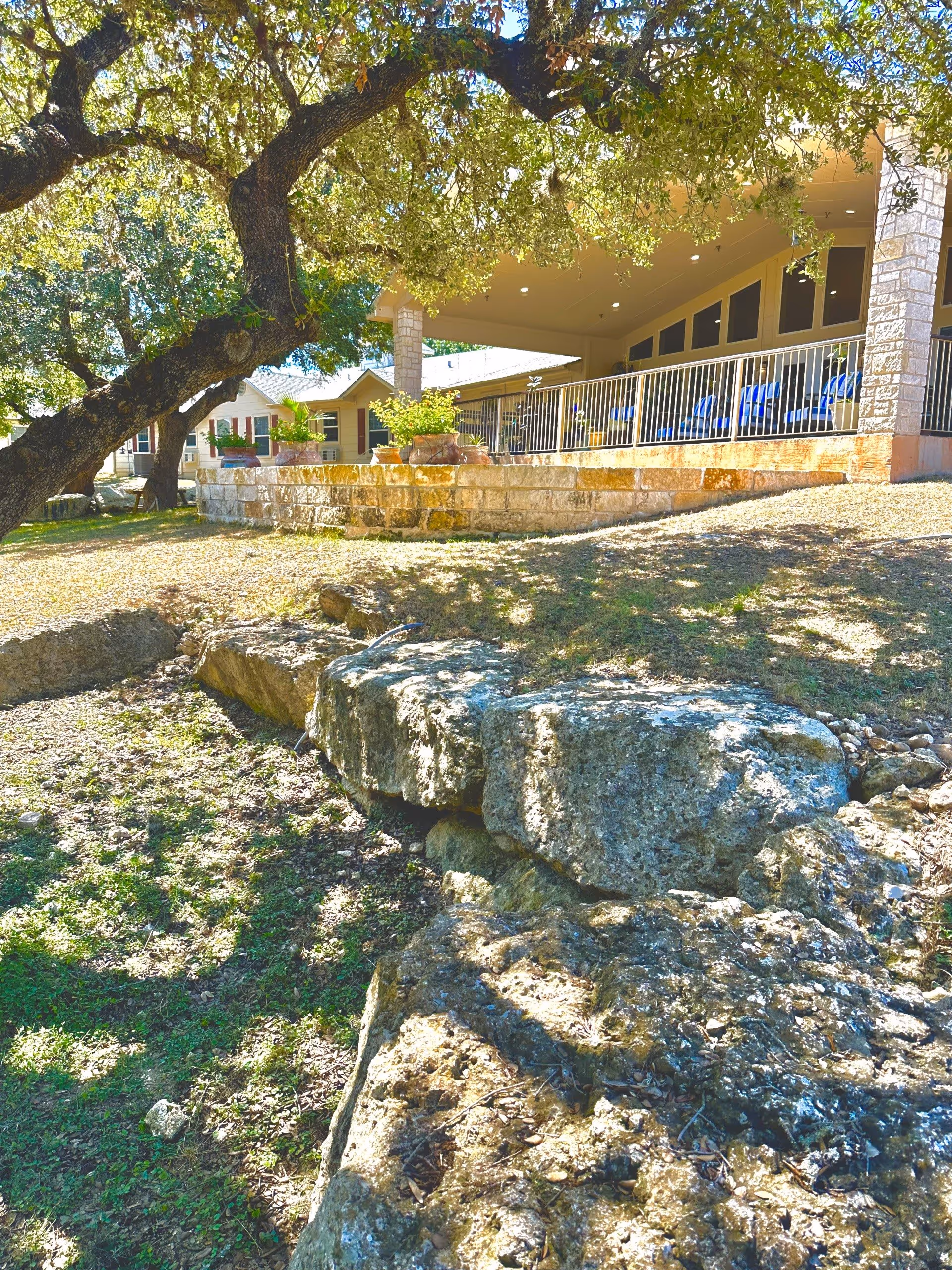 Outdoor view of a senior living facility showing a shaded area with large rocks and grass in the foreground, a large tree with sprawling branches providing shade, and a covered patio with a railing and blue chairs in the background.