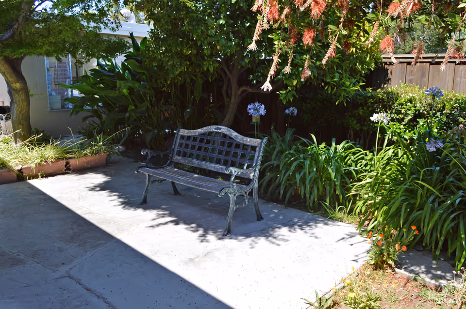A metal garden bench sits on a sunlit concrete patio surrounded by lush plants and trees.