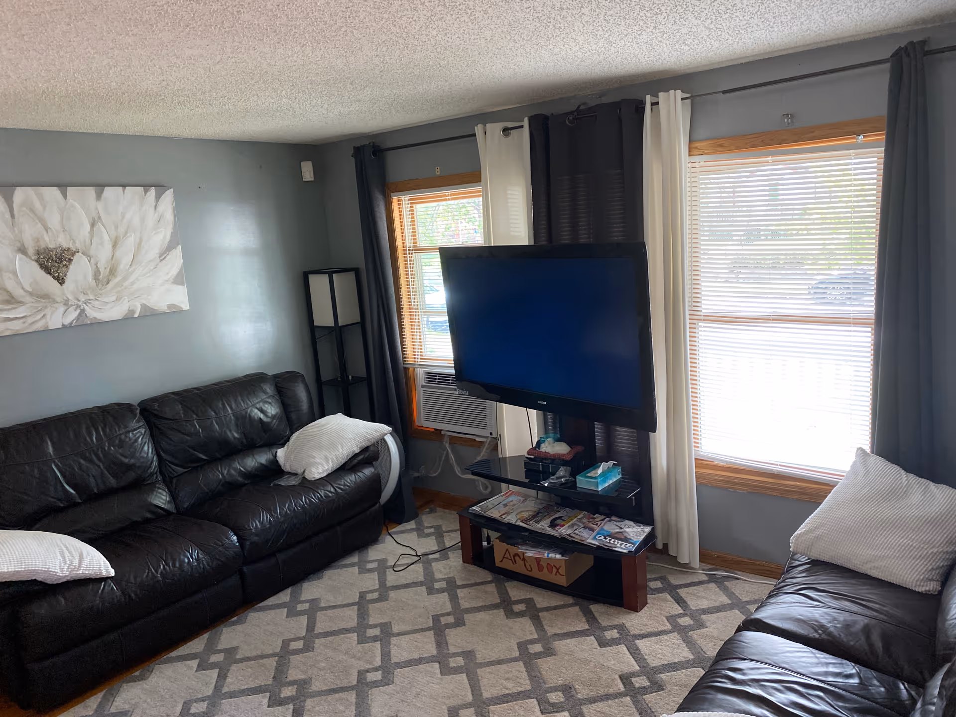 A living room with two black leather sofas, a flat-screen TV on a stand, windows with blinds and curtains, and a patterned area rug.