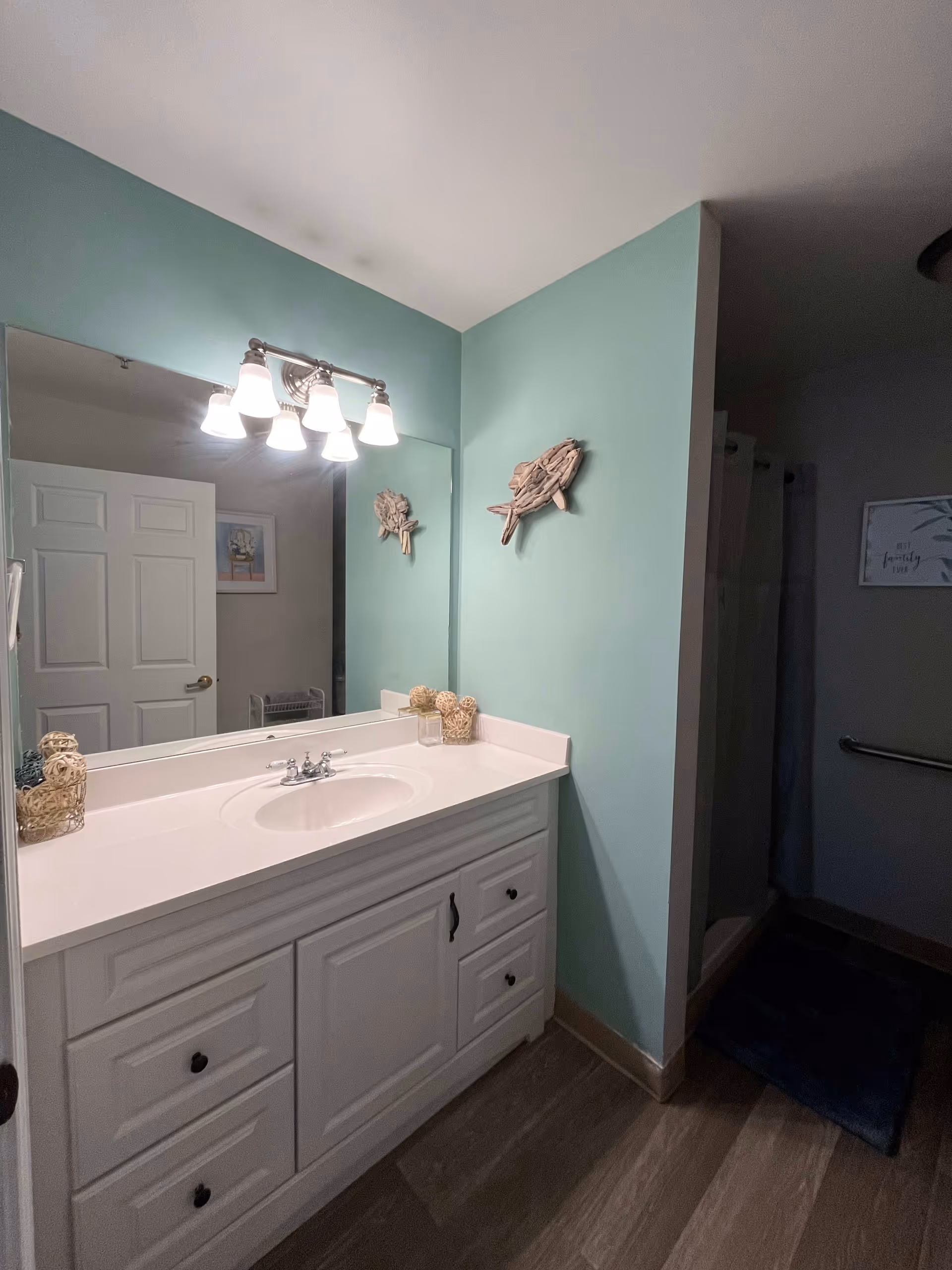Bathroom vanity with a white sink and countertop, large mirror, teal walls, overhead light fixture, and a shower entrance to the right.