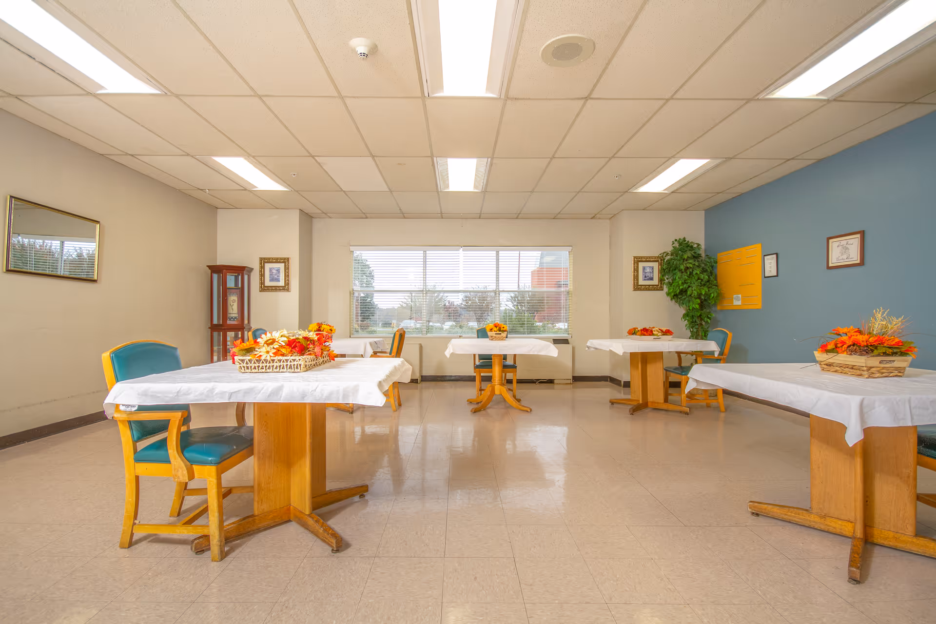 A bright dining room with four wooden tables covered with white tablecloths, each decorated with a basket of artificial flowers. The room has beige walls, a blue accent wall, a large window letting in natural light, and several wooden chairs with teal cushions. There are framed pictures on the walls and a tall plant in the corner.