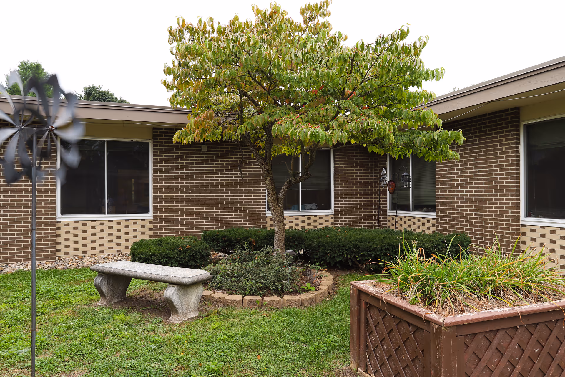 A small outdoor courtyard area with a tree in the center surrounded by bushes and a stone border. There is a stone bench on the grass and a wooden planter box with plants. The courtyard is enclosed by a brick building with several windows.