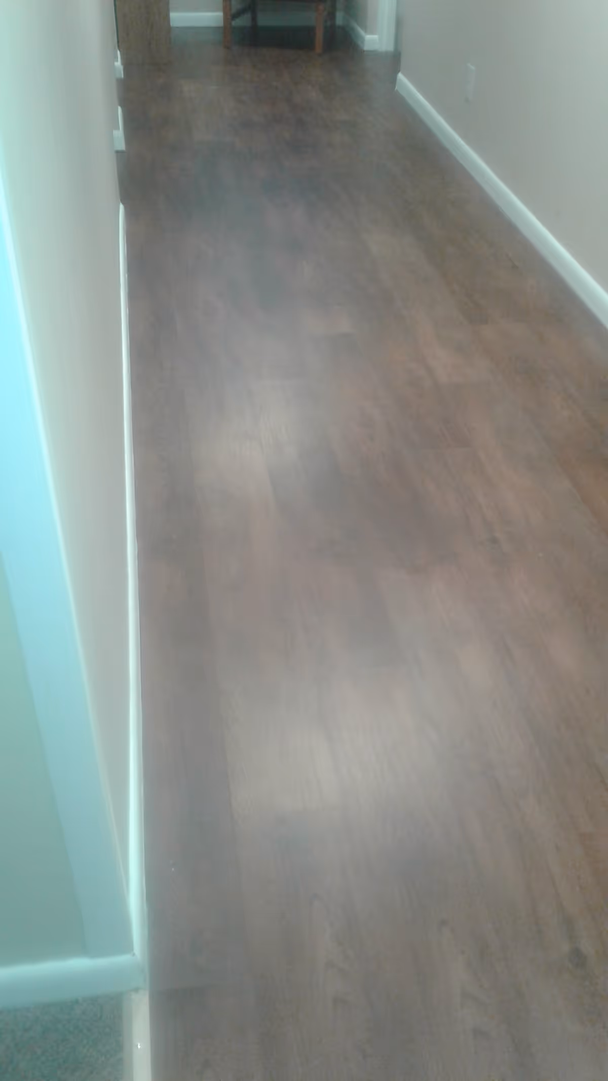 A long indoor hallway with wooden flooring and light-colored walls, leading to a small table with a plant on it at the far end.