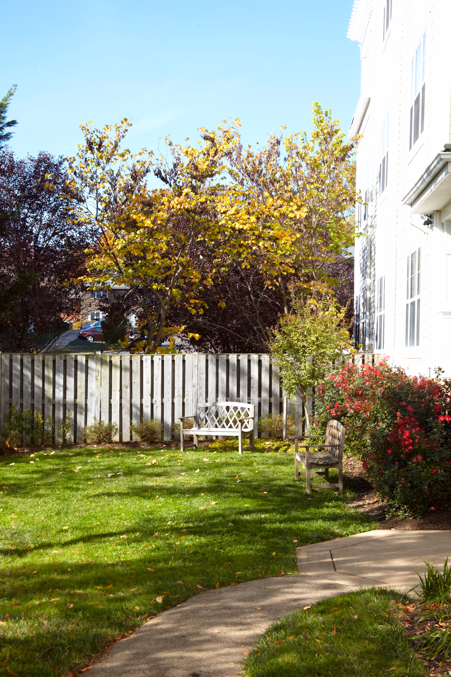 Sunny courtyard with a curved walkway, grassy lawn, two wooden benches, flowering shrubs, a wooden fence and the side of a light-colored building.