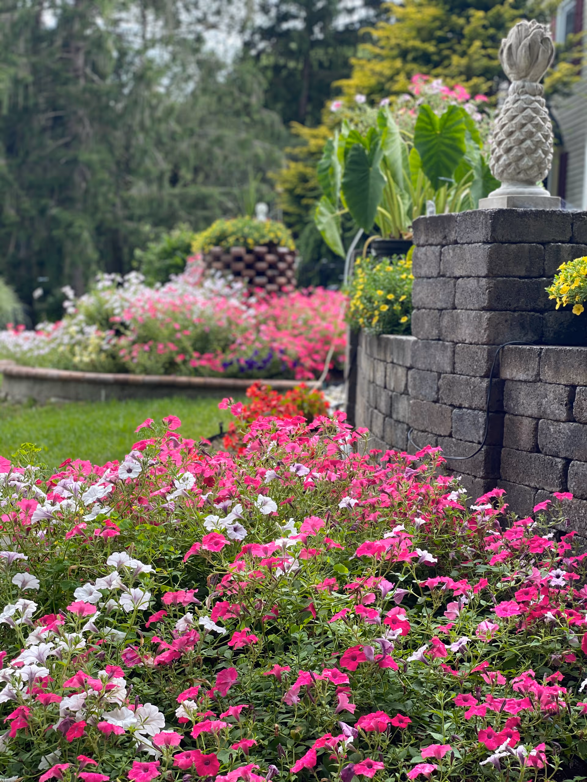 A vibrant garden area with a variety of pink and white flowers in the foreground, a stone retaining wall with potted plants and a decorative pineapple sculpture on top, and lush green trees in the background.