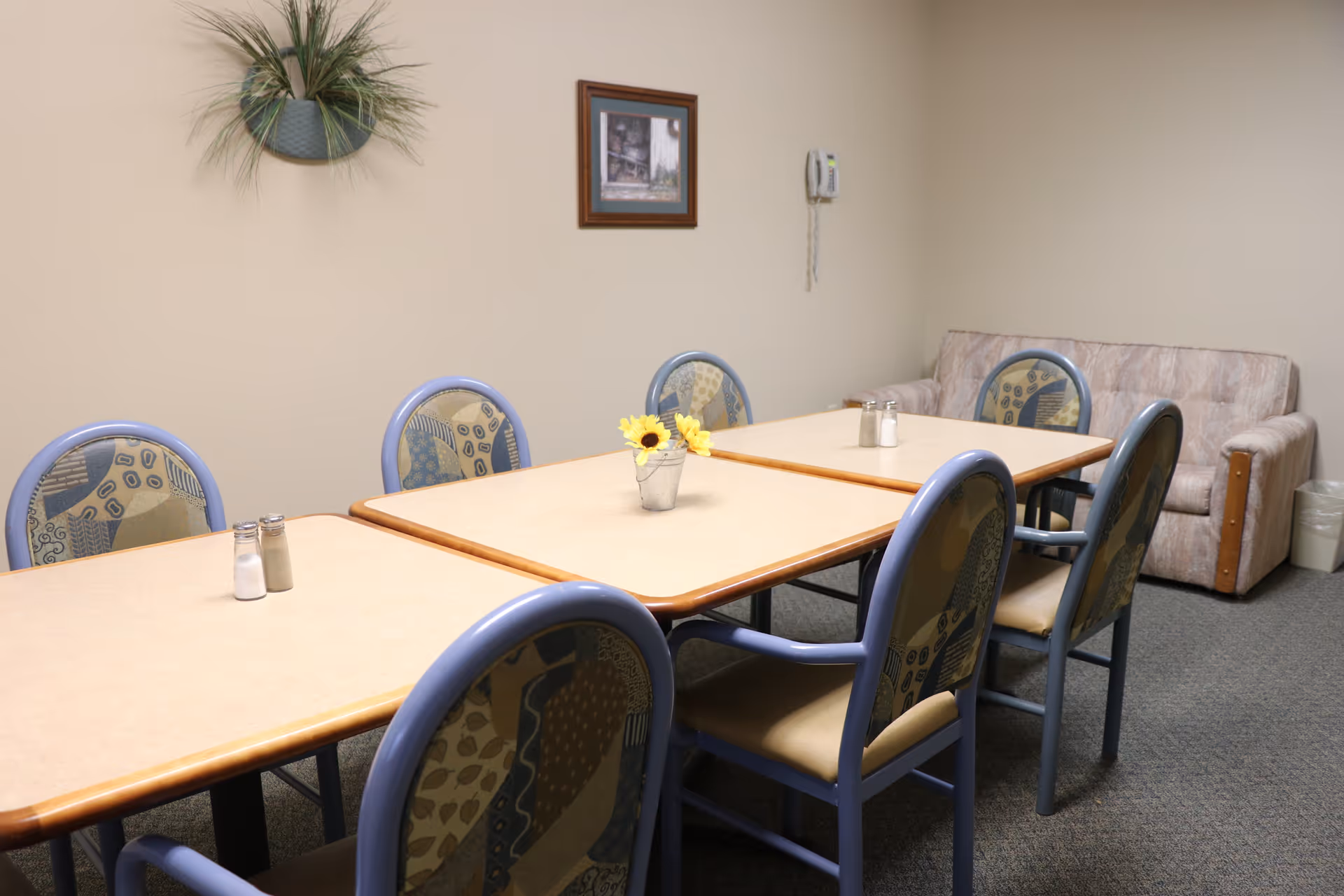 A small dining area with two rectangular tables pushed together, surrounded by six patterned chairs with blue frames. On the tables are small salt and pepper shakers and a small metal bucket with artificial sunflowers. In the background, there is a beige couch, a wall-mounted phone, a framed picture, and a decorative wall planter with green plants. The walls are light beige and the floor is carpeted.