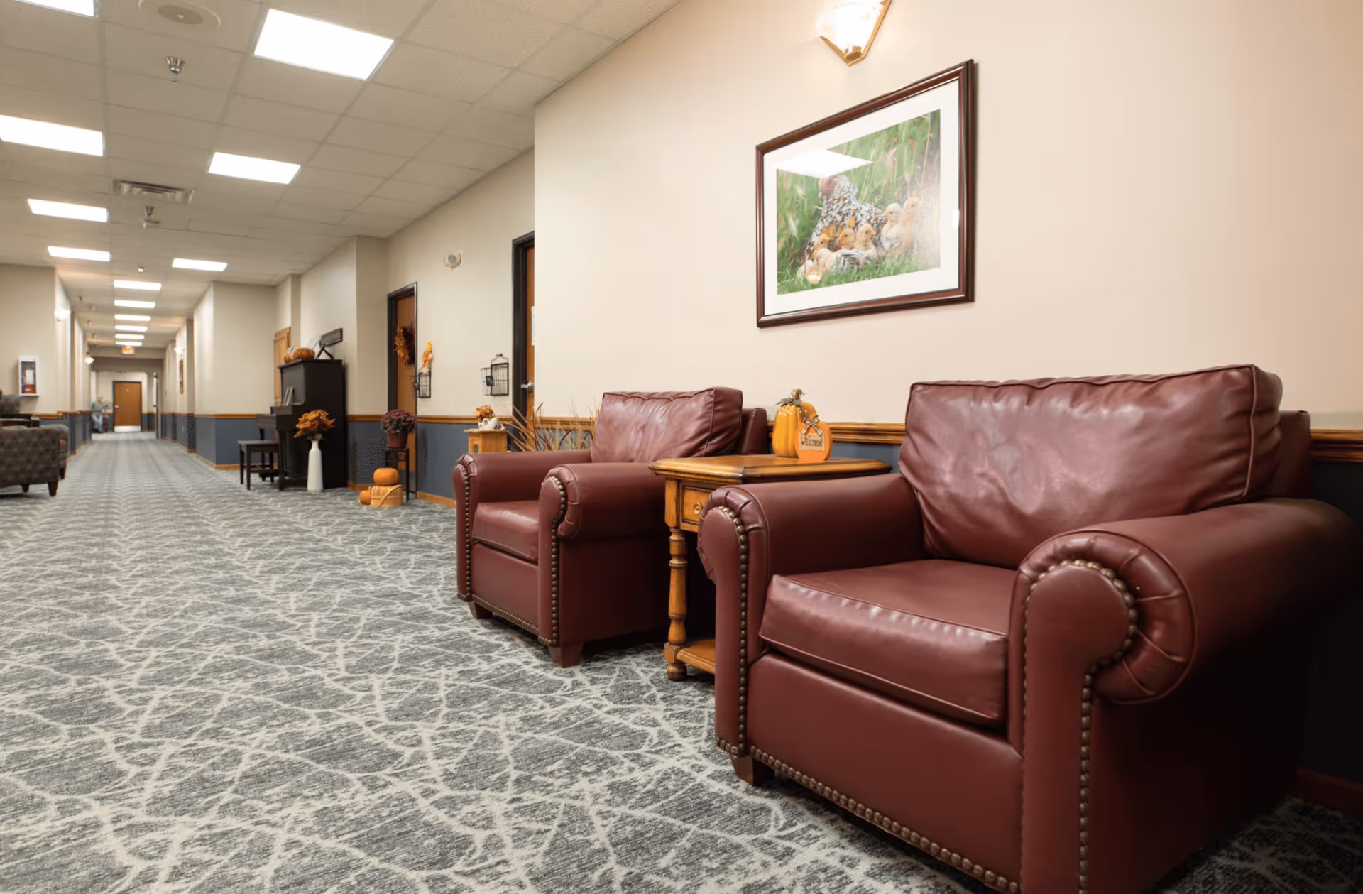 A long hallway in an assisted living facility with patterned carpet and beige walls. On the right side, there are two maroon leather armchairs separated by a wooden side table with small decorative pumpkins. A framed picture of birds hangs above the chairs. Further down the hallway, additional seating and decorations are visible.