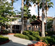 Outdoor courtyard area of a senior living facility with a paved walkway, green shrubs, palm trees, and a wooden gazebo. The building with multiple windows is visible in the background under a clear sky.