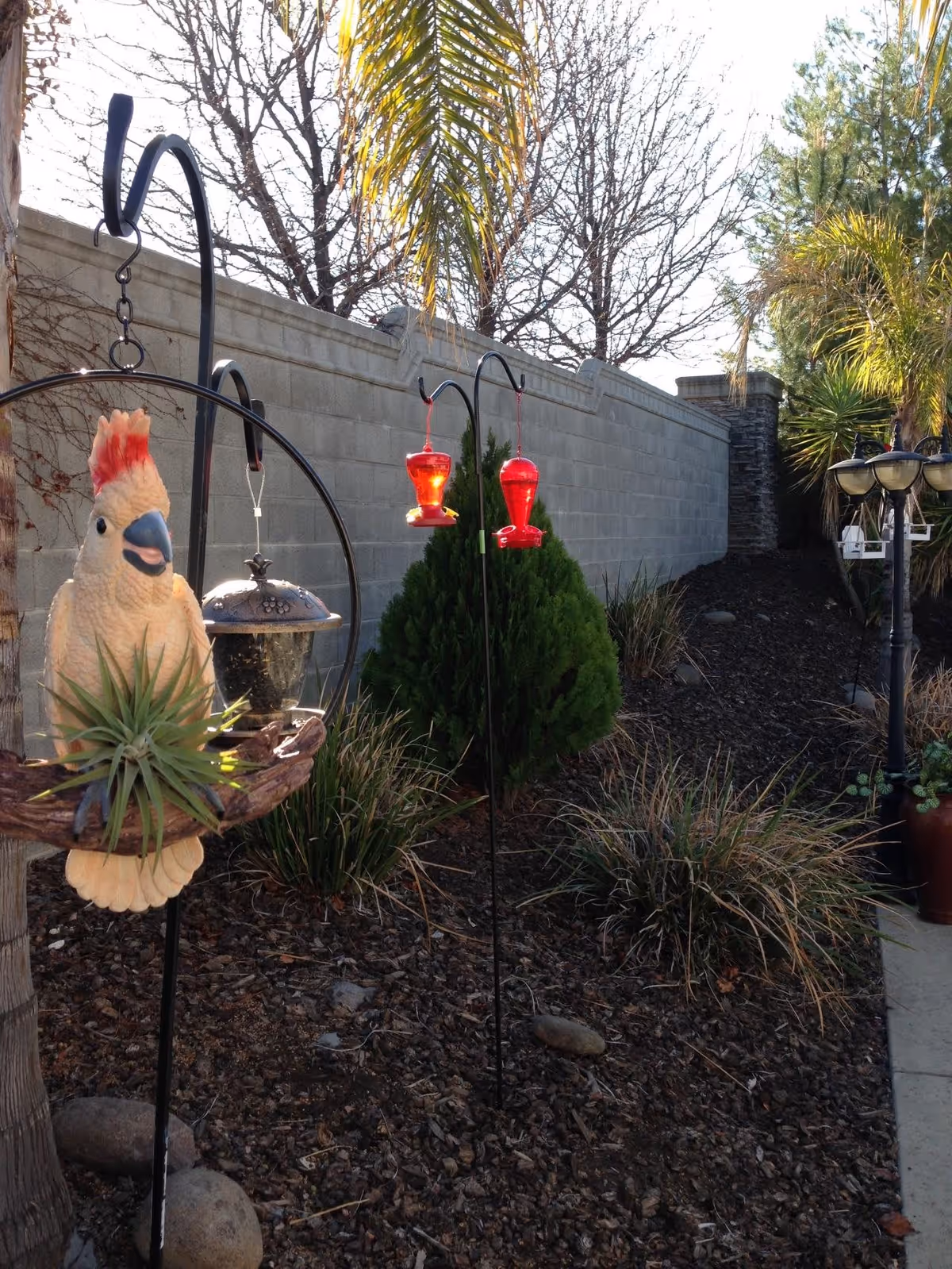 Outdoor garden area with a decorative bird figurine perched on a branch, two red hummingbird feeders hanging from metal hooks, various plants and shrubs, a stone wall in the background, and a lamp post with multiple lights on the right side.