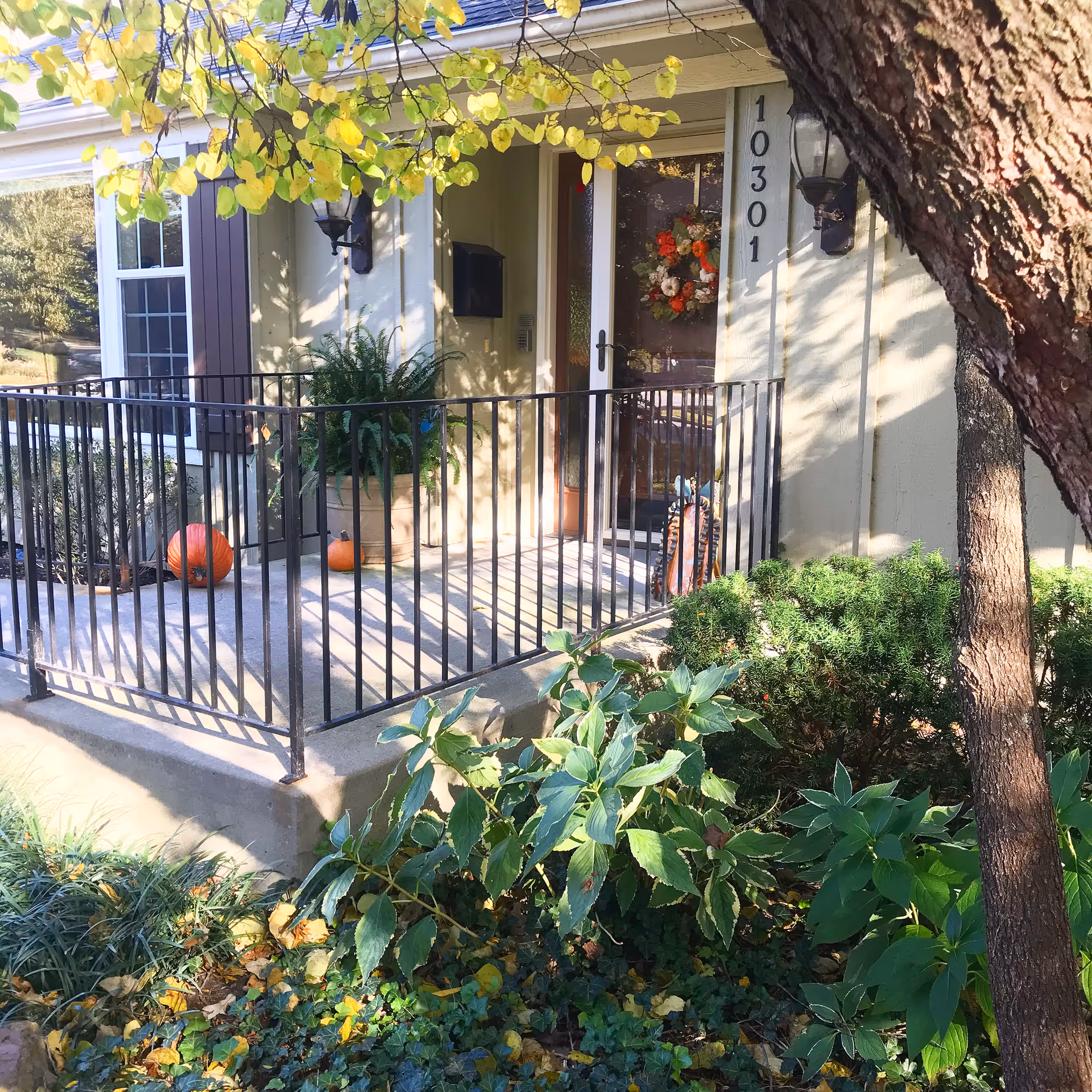 Front porch of a residential building with a black metal railing, a potted fern, two pumpkins, and a glass door decorated with a fall-themed wreath. The building number 10301 is visible on the wall next to the door. There are trees and green plants surrounding the porch area.