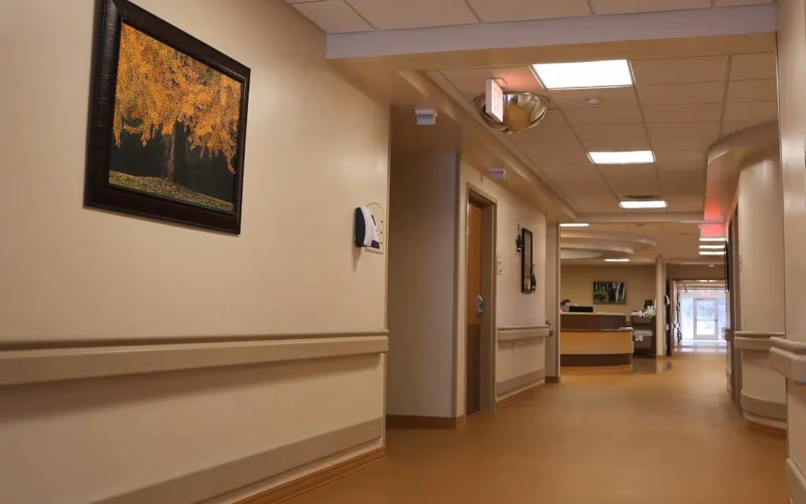 A hallway in Pine Haven Care Center featuring a framed painting and accessible design.