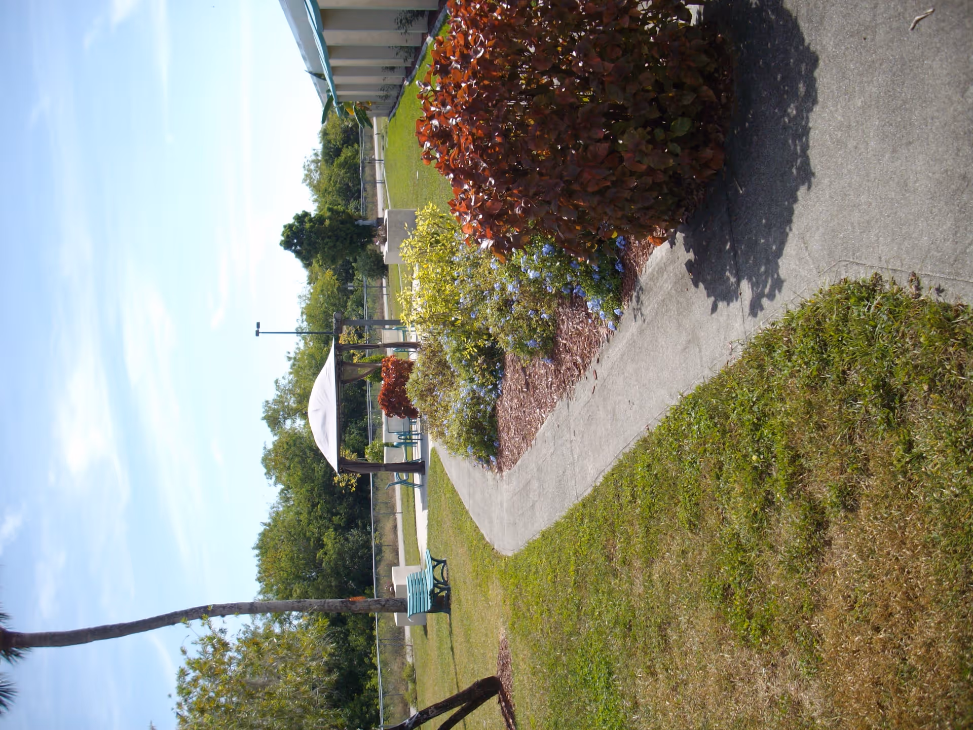 Outdoor garden area with a concrete pathway, green grass, various bushes and plants, a bench, and a shaded seating area under a canopy. Trees and a clear blue sky are visible in the background.