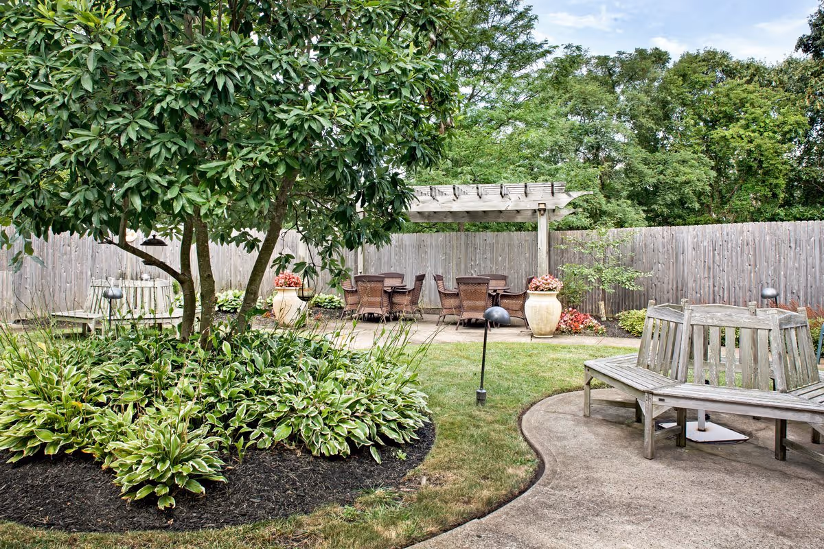 Fenced outdoor courtyard with a tree and garden beds, patio seating under a pergola, and wooden benches on a curved path.