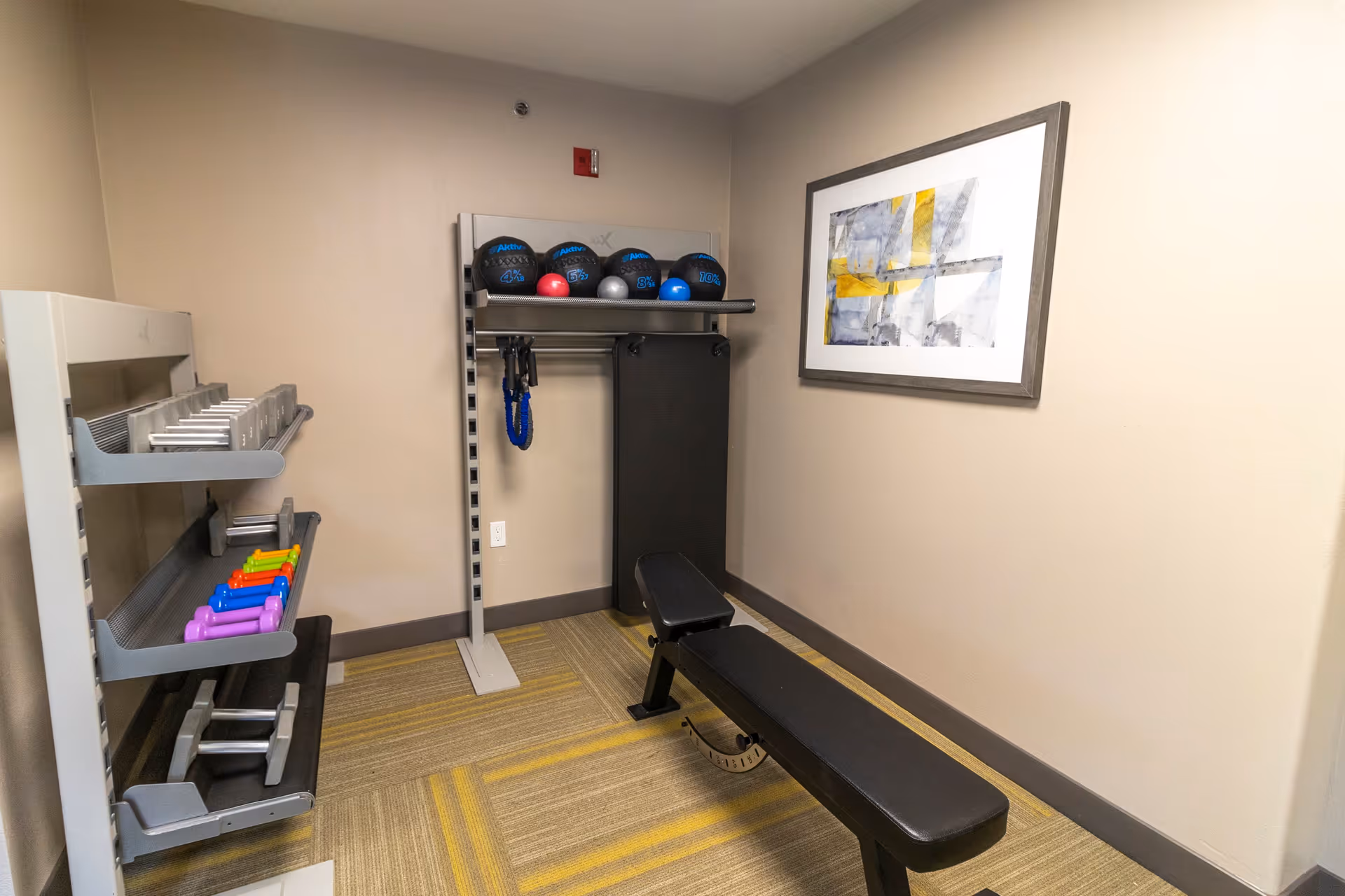 Small exercise room with a black workout bench, a rack holding various weights including colorful dumbbells and medicine balls, and a framed abstract painting on the wall.