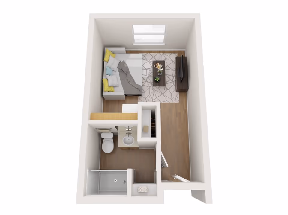 3D top-down floor plan of a small studio apartment showing a living/sleeping area with a couch and TV, a bathroom with sink, toilet and shower, and a small closet near the entrance.