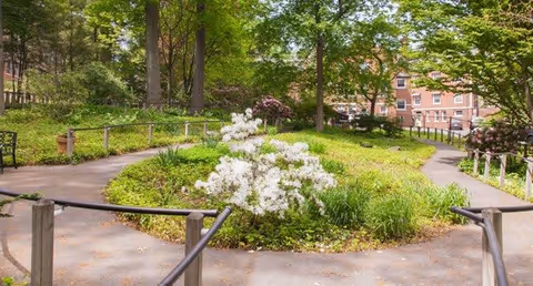 A circular garden area with a white flowering bush in the center, surrounded by a paved walking path with handrails. Trees and other greenery surround the garden, and a multi-story brick building is visible in the background.