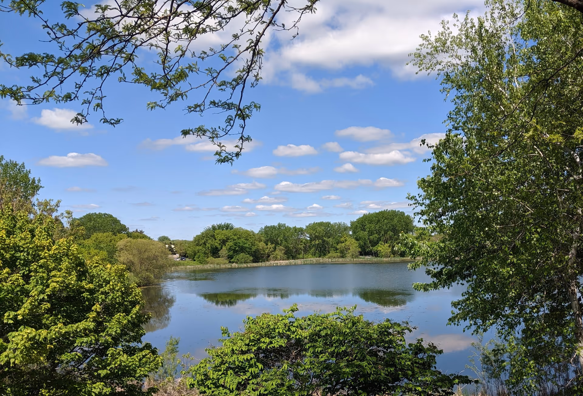 A scenic view of a calm lake surrounded by lush green trees under a blue sky with scattered white clouds.