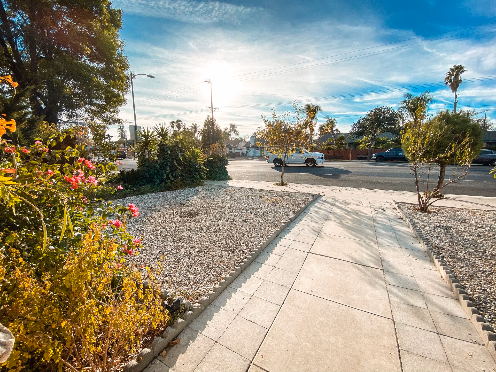 Sunlit front walkway and gravel yard leading to a street with parked cars, palm trees, and flowering shrubs.