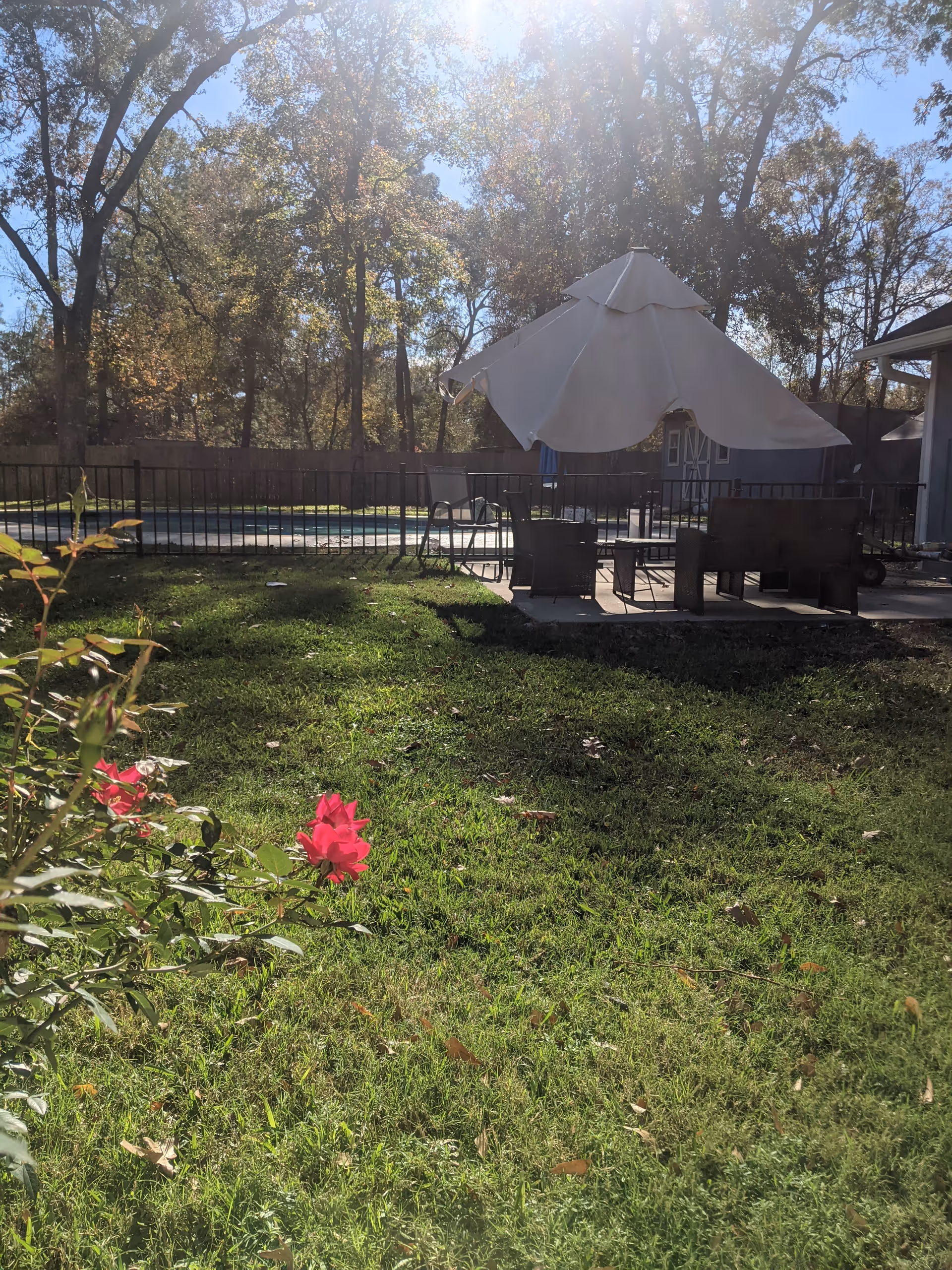 Outdoor area with green grass, a few red flowers in the foreground, and a patio with chairs and a large white umbrella. Trees and a wooden fence are visible in the background under a bright sunny sky.