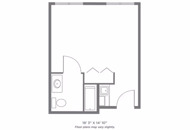 Floor plan of a small apartment unit showing a main living area, a bathroom with a toilet and sink, and a kitchen area with a sink and stove. The total dimensions are 19 feet 3 inches by 14 feet 10 inches.