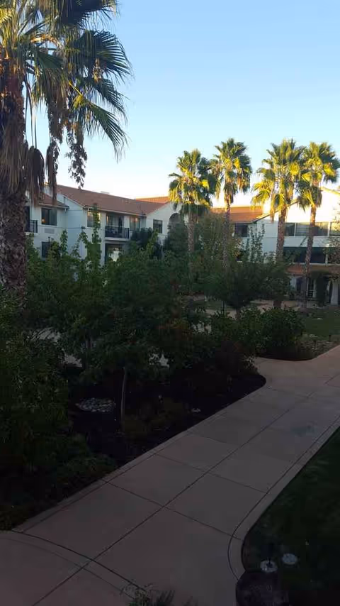 Exterior courtyard at Oakmont of Montecito with palm trees and walkways.