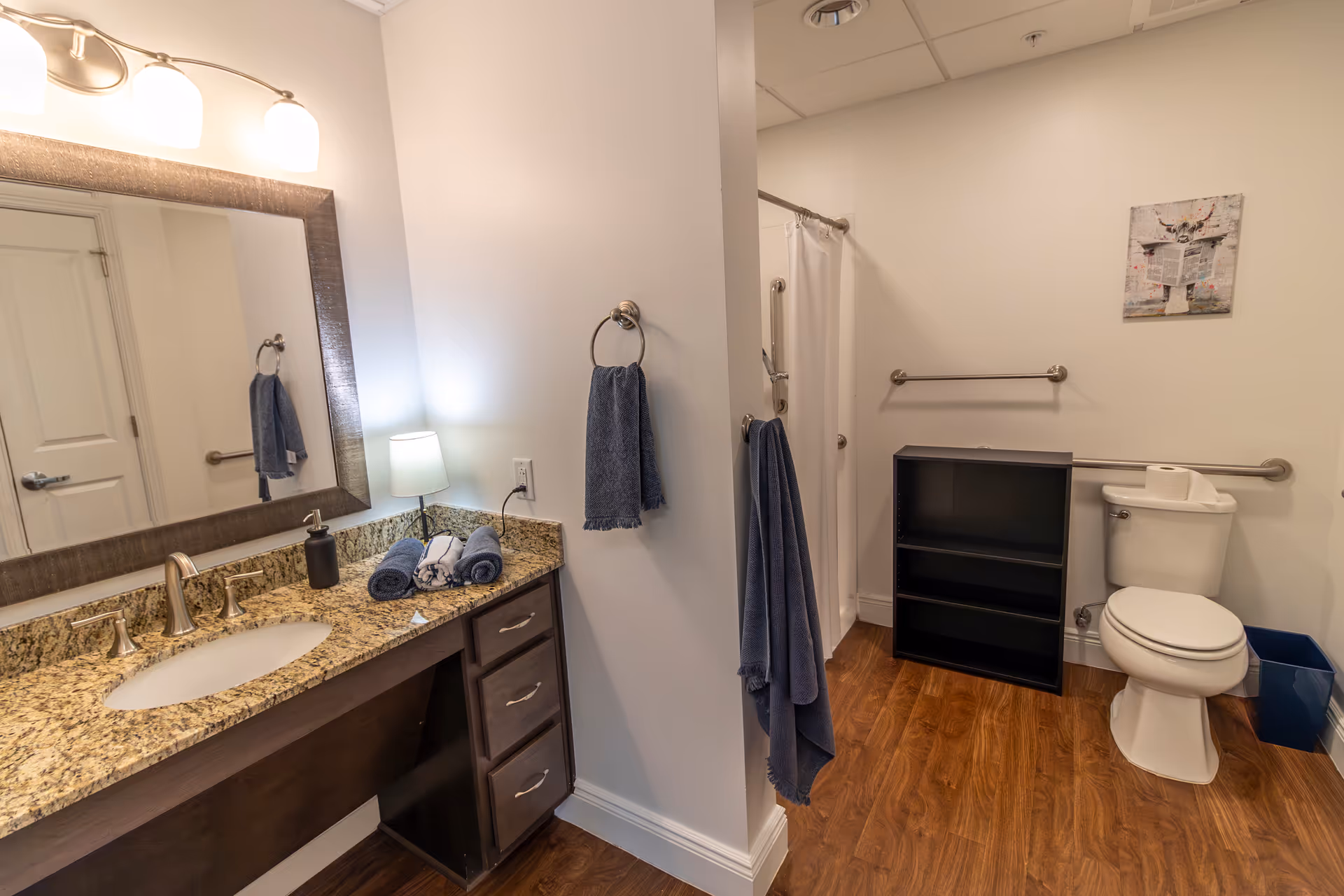 Accessible bathroom with a granite-topped vanity and mirror, towel racks, walk-in shower, and toilet on wood-look flooring.