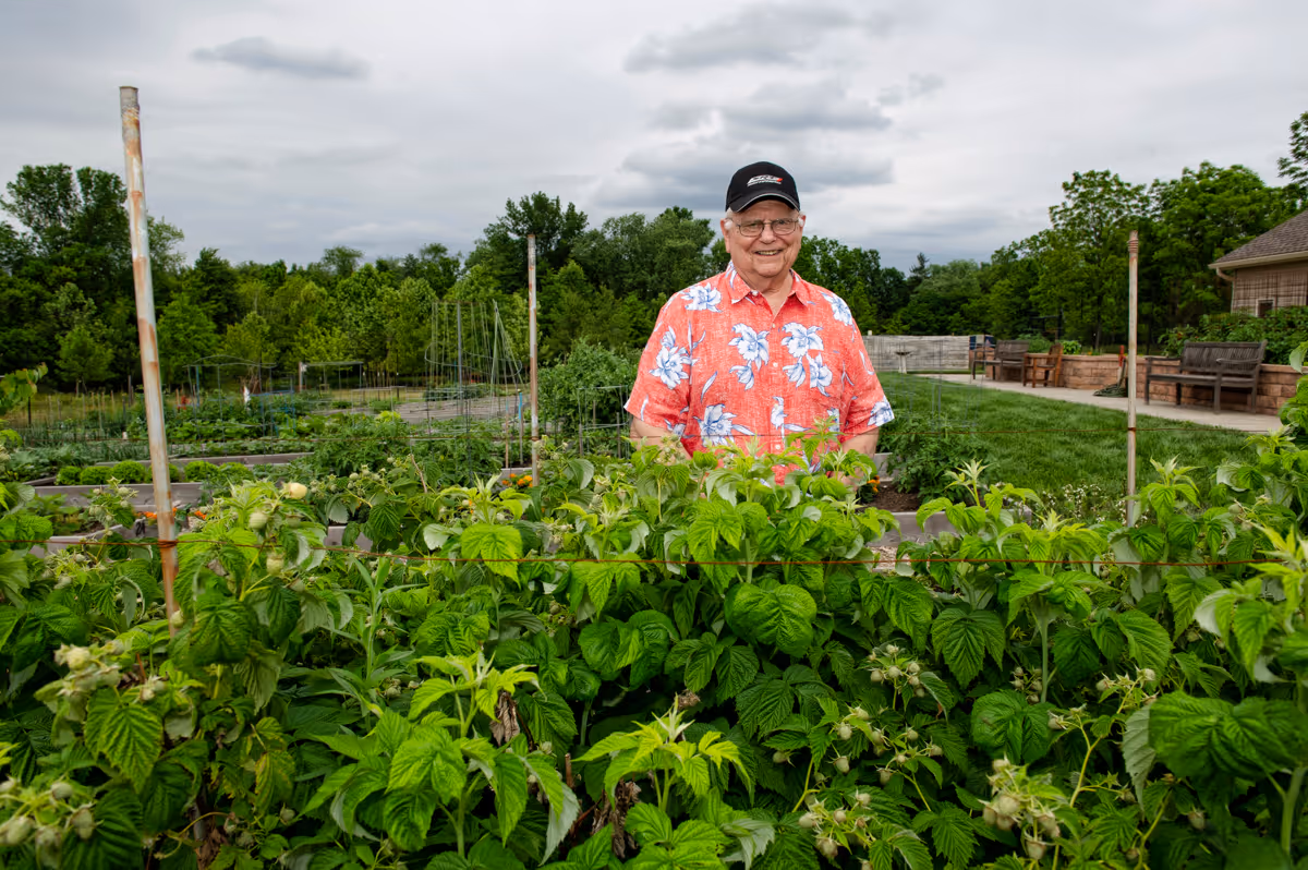 An elderly man wearing a red floral shirt and a black cap stands smiling behind a lush garden bed filled with green plants. The garden is outdoors with trees and a cloudy sky in the background, along with a paved walkway and benches to the right.
