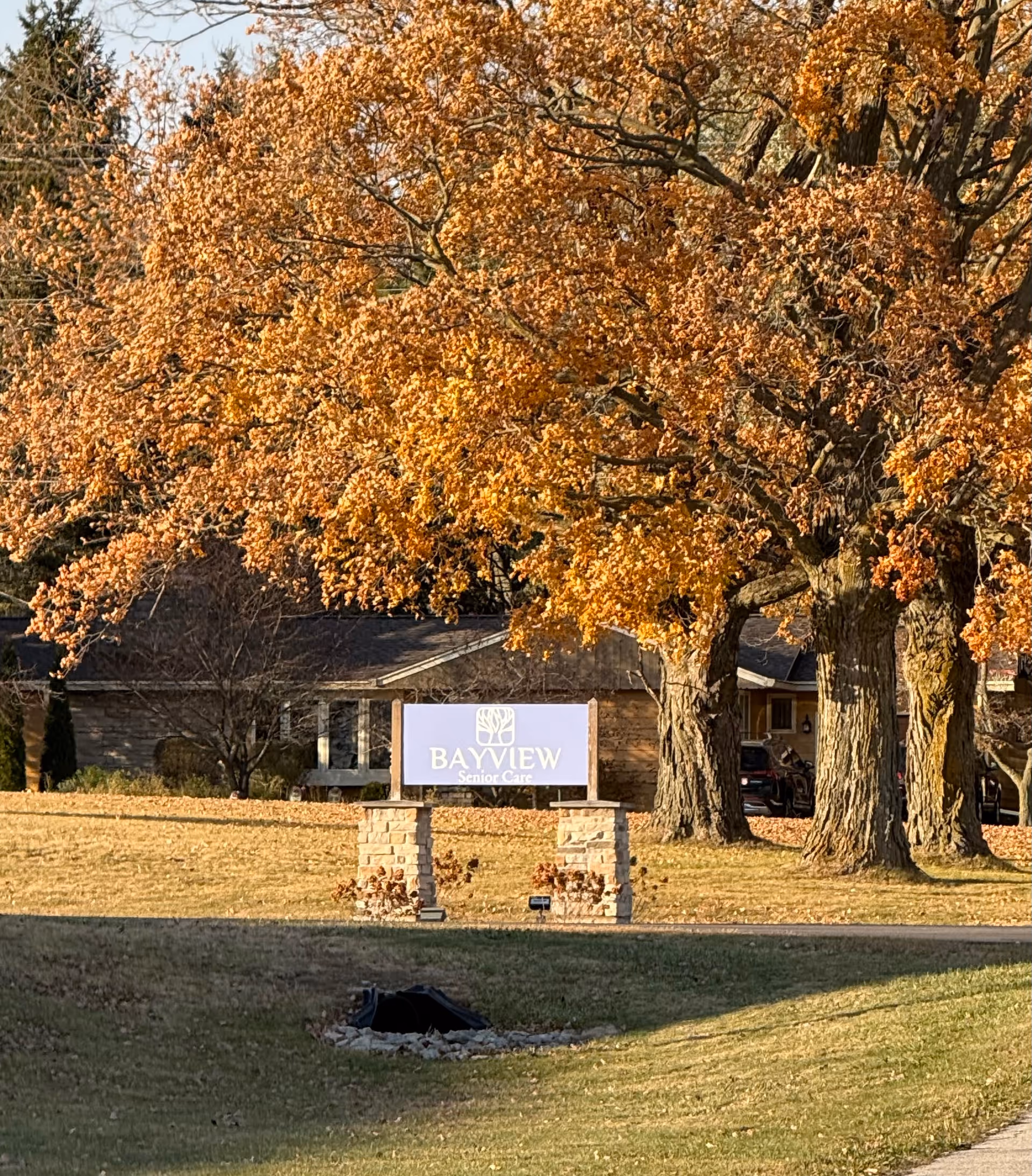 Outdoor view of Bayview Senior Care facility sign with large trees displaying autumn foliage in the background and a building partially visible behind the sign.
