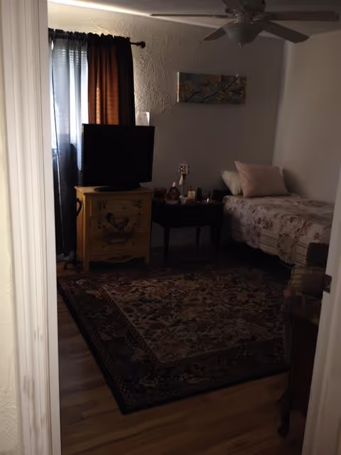 Small bedroom with a twin bed, TV on a painted yellow dresser, side table, area rug, and ceiling fan.