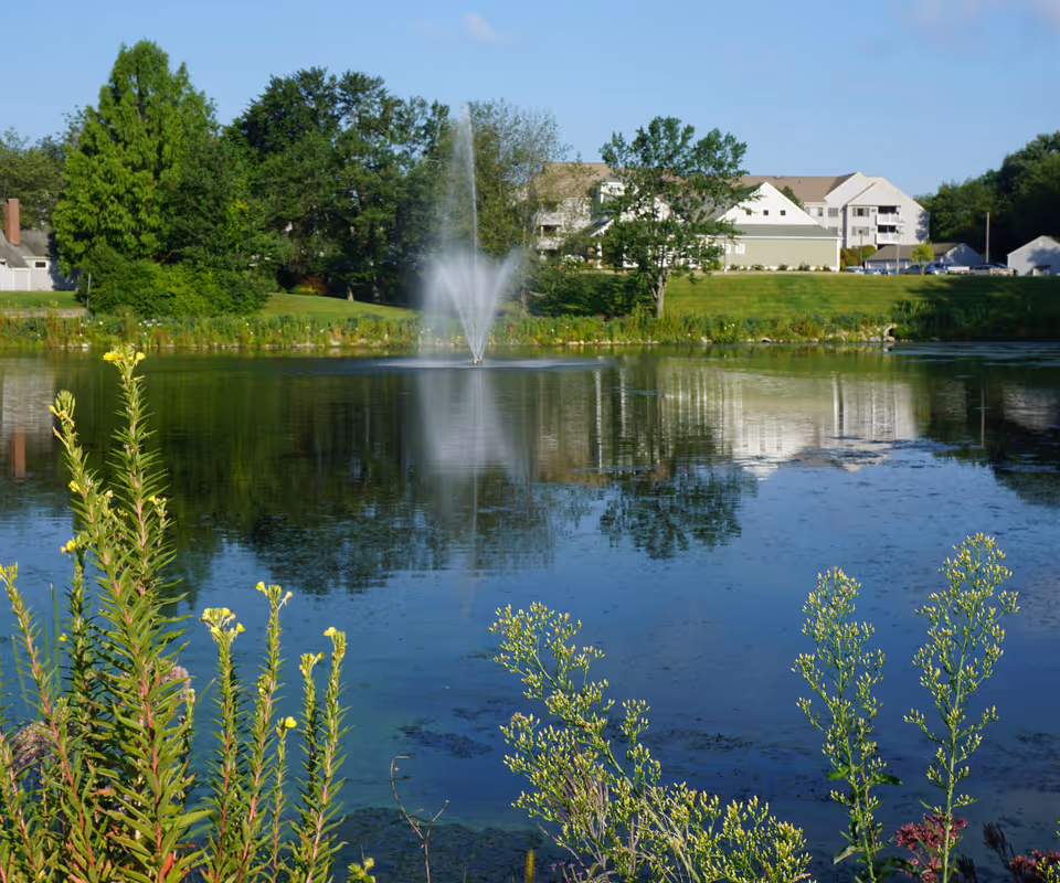 A pond with a central fountain and foreground wildflowers reflecting nearby apartment-style buildings and trees.