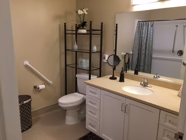 Bathroom with beige vanity and sink, toilet with metal shelving above, grab bar, mirror, and shower with patterned curtain.