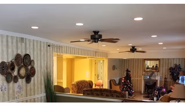Interior common living room area with sofas, ceiling fans, decorative wall art, and a small Christmas tree.