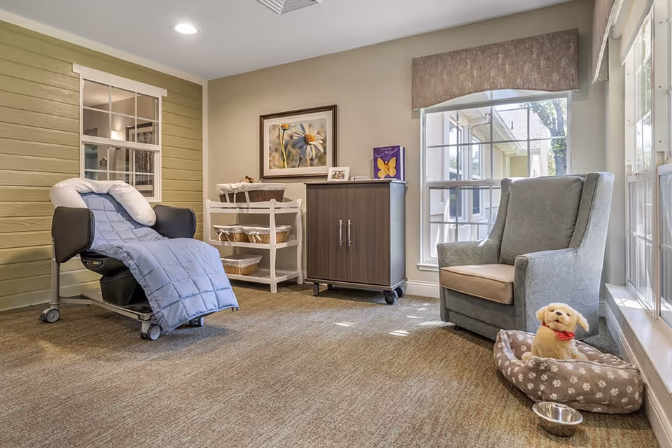 A cozy room with a reclining chair covered with a blue quilt and a white pillow, a gray armchair next to a window with a small dog plush toy in a dog bed and a metal water bowl on the floor. There is a wooden cabinet with a framed flower picture and a butterfly card on top, and a white shelving unit with baskets. The room has beige walls, carpeted floor, and large windows letting in natural light.