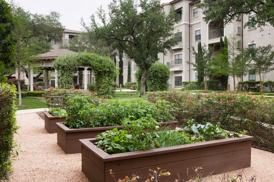 Raised wooden garden beds with vegetables and flowering hedges in a landscaped courtyard before a multi-story senior living building.