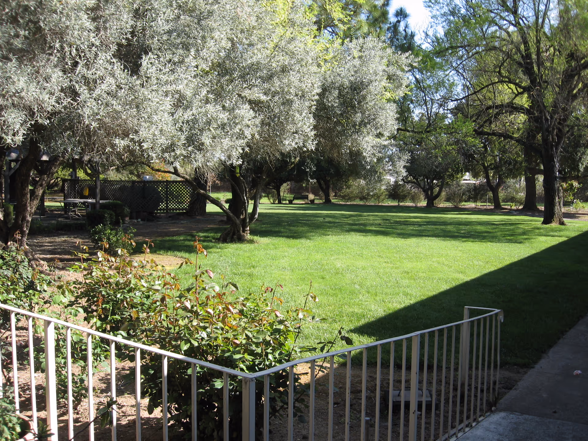 Sunlit lawn and garden area with trees and shrubs, viewed from a pathway with a metal railing in the foreground.