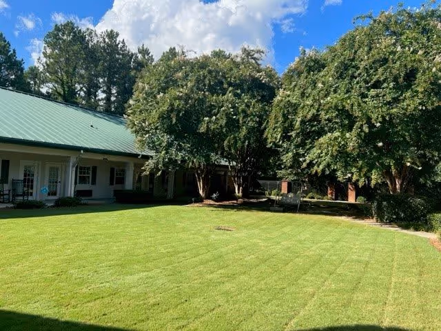 A well-maintained outdoor grassy courtyard area at Ivy Hall Assisted Living, featuring a green lawn, several large trees providing shade, and a building with a green metal roof and white walls surrounding the courtyard. The sky is blue with some clouds.