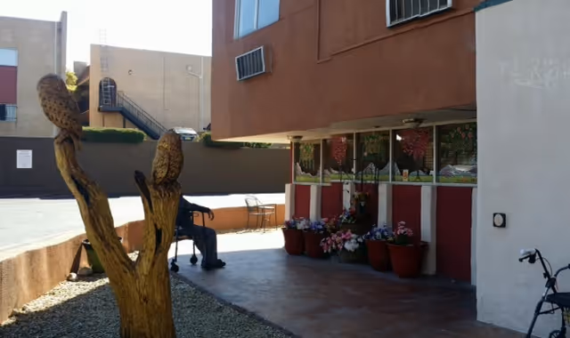 Outdoor patio area of a retirement facility with a tree stump sculpture featuring two owl carvings, several potted plants with flowers near the building wall, a person sitting on a chair with a walker nearby, and part of a bicycle visible on the right side.
