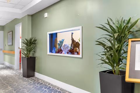 Interior hallway with green walls and patterned carpet at Patriots Glen. The hallway features a built-in aquarium with colorful coral and sea creatures, two large potted plants in black planters, and a framed picture on the wall.