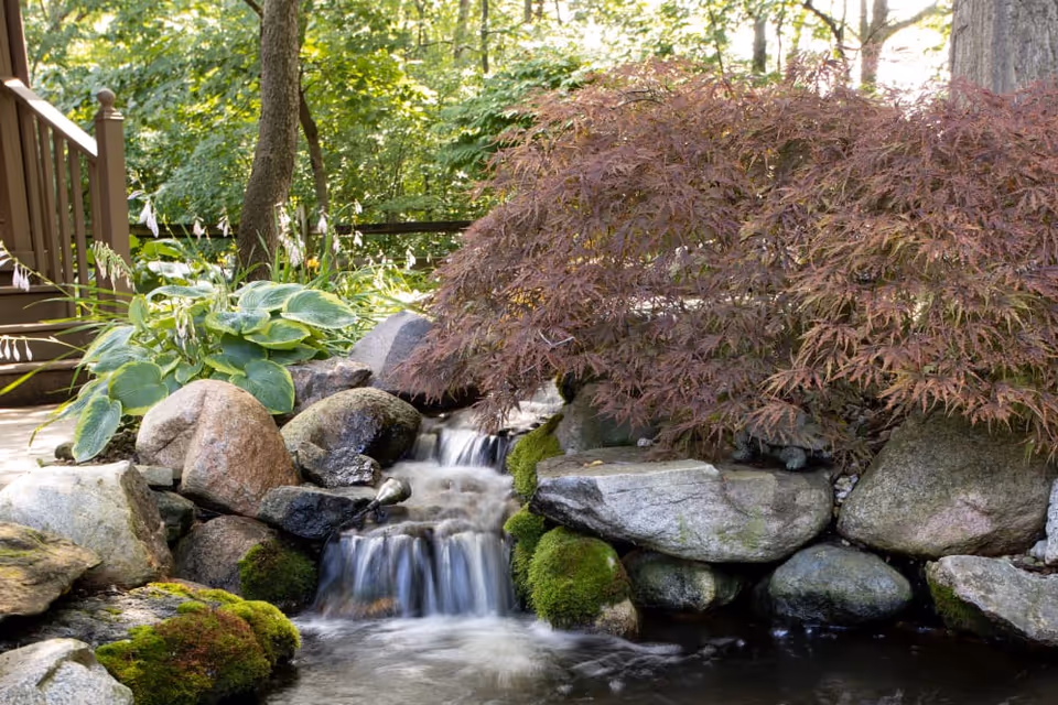 A serene outdoor garden scene featuring a small cascading waterfall flowing over rocks surrounded by lush green plants and a reddish-purple bush, with trees and a wooden deck railing in the background.