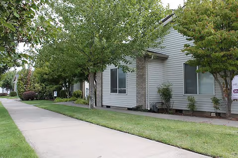 Sidewalk-lined lawn and trees in front of a single-story residential building with light siding and windows.