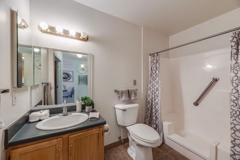 A clean and well-lit bathroom featuring a sink with a countertop, a mirror with lights above it, a toilet, and a bathtub with a grab bar and a patterned shower curtain. Towels and a small potted plant are placed on the countertop. The bathroom has neutral-colored walls and flooring.
