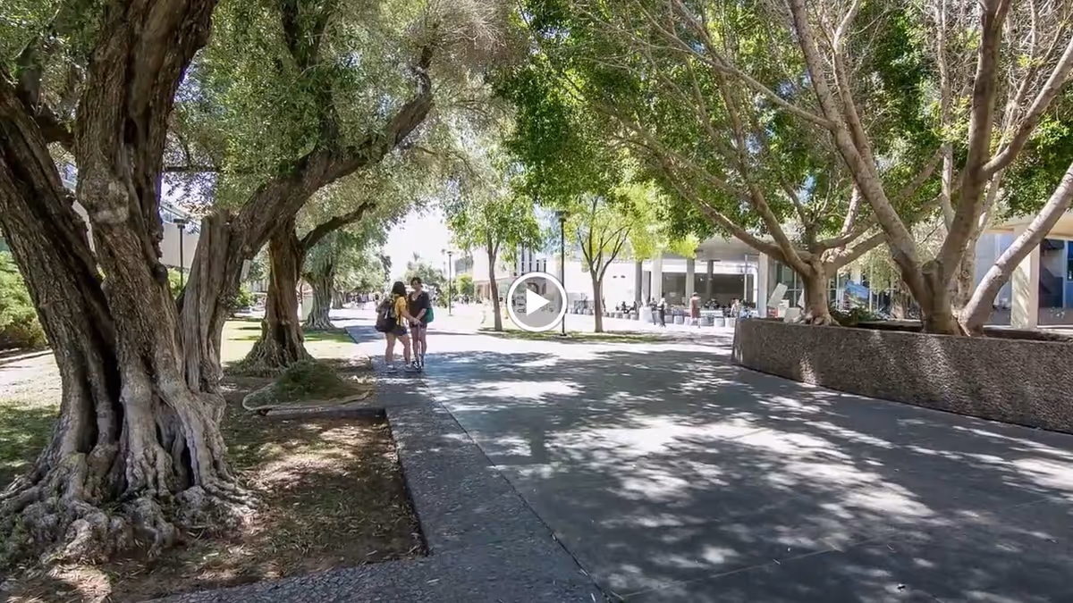 A shaded outdoor walkway lined with large trees on both sides. Two people are walking along the path, and there is a building with outdoor seating visible in the background.