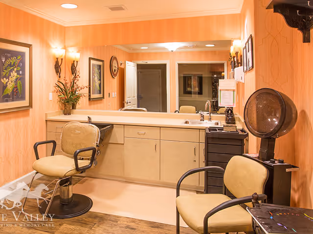 Interior of a hair salon area within an assisted living facility, featuring two salon chairs, a hair dryer, a countertop with a sink, cabinets, wall-mounted lights, framed artwork, and a plant on the counter. The walls are painted in a warm peach color with a subtle pattern.