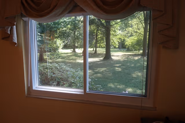 View through a window overlooking a sunlit grassy yard with trees and shrubs.