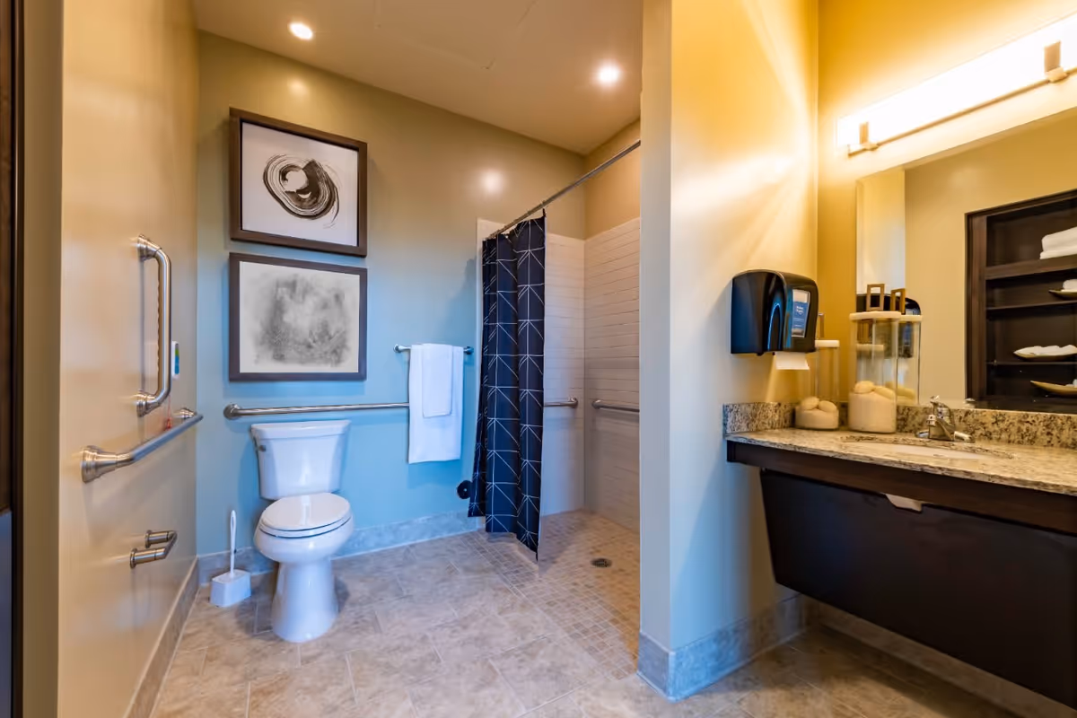 A clean and accessible bathroom featuring a white toilet with grab bars on the walls, a walk-in shower with a dark patterned curtain, a granite countertop with a sink, a mounted soap dispenser, and two framed abstract artworks on the wall above the toilet.