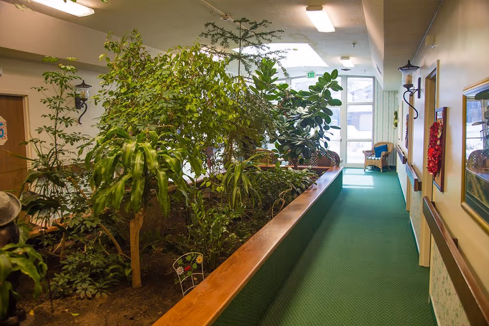 Indoor hallway in an assisted living facility with a large built-in planter filled with various green plants and small trees. The hallway has green carpet, wall-mounted lamps, framed pictures, and a wicker chair near a glass door letting in natural light.