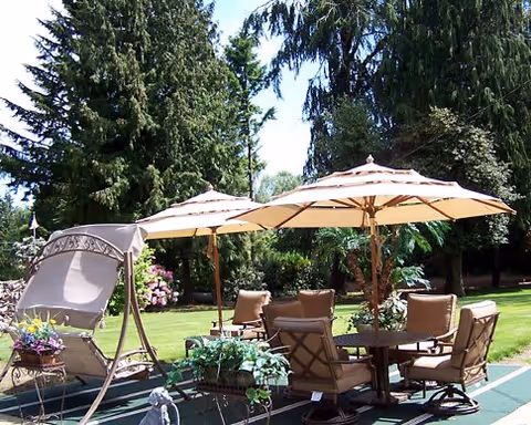 Sunlit outdoor patio area with a dining table surrounded by cushioned chairs, umbrellas, a swing seat, and large trees and lawn in the background.